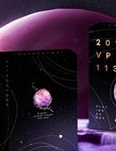 2012 VP 113 Pink Playing Cards Deck of Cards