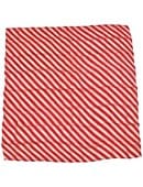 36" Zebra Silk Accessory