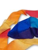 4in by 9ft Multicolor Silk Streamer Accessory