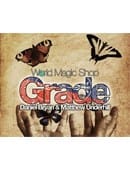 Grade DVD