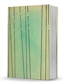 A Book of Marionettes Ebook