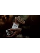 Adrift Video download