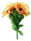 Amazing Split Sunflower Trick