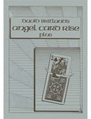 Angel Card Rise Plus Book