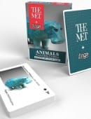 Animal Playing Cards Deck of Cards