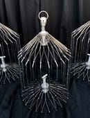 Appearing Bird Cage Trick