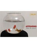 Appearing Fish in Bowl Trick