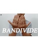Bandivide Video download