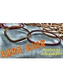 BandLink Video download