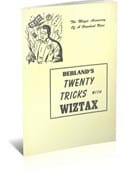 Berland's Twenty Tricks with Wiztax Ebook