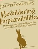 Bewildering Impuzzibilities Book