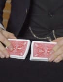 Bicycle Elite Marked Cards by Penguin Magic Deck of Cards and download