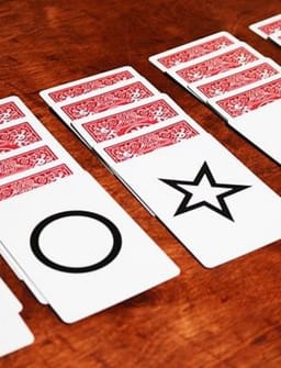 Bicycle ESP Cards Deck of Cards
