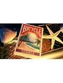 Bicycle Four Seasons Playing Cards Deck of cards