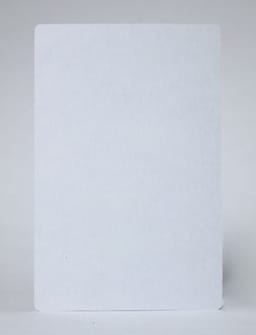 Bicycle Jumbo Blank Face Card Trick