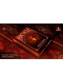 Bicycle Natural Disasters 