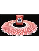 Bicycle Paris Back Playing Cards Deck of Cards