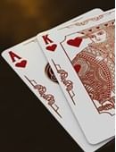 Bicycle Syndicate Playing Cards Deck of cards