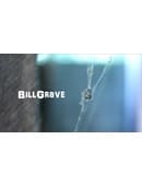Bill Grave Video download