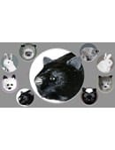 Black Fox Spring Animal Trick