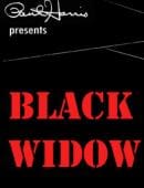 Black Widow Video