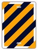 Broken Borders 2020 Playing Cards Deck of Cards