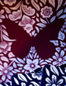 The Butterfly Deck Trick and download