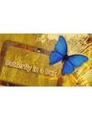 Butterfly In a Box Trick