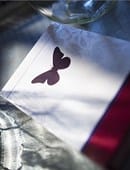 Butterfly Playing Cards Marked (2nd Edition) Deck of Cards