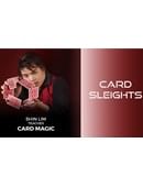 Card Sleights Magic download (video)