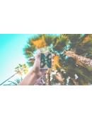 Card Tempos Bundle Magic download (video)