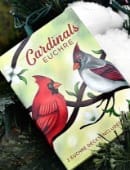 Cardinals Euchre Playing Cards Deck of Cards