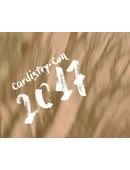 Cardistry-Con 2017 Bundle Magic download (video)