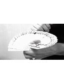 Carnahan Fan Magic download (video)