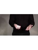 Carney on the Erdnase Color Change Magic download (video)