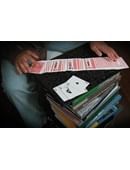 Carousel Magic download (video)