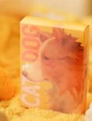 Cat & Dog Playing Cards Deck of cards