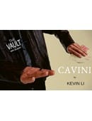 The Vault - CAVINI Video download