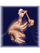 Chain Breaker Thumb Tie -Losander Trick