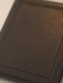 Chameleon Skin Wallet Trick