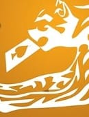 Cheetah Accessory