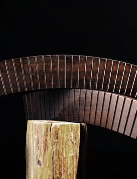 Long and Short (Classicho) Trick