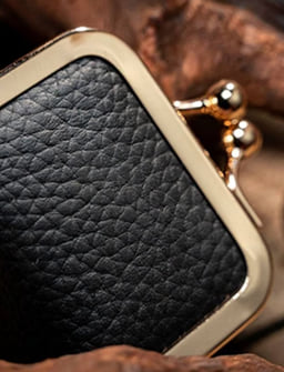 Coin Bag Accessory