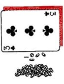 Coin Card Trick