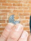 Coinception Trick