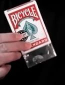 Coins Magic download (video)