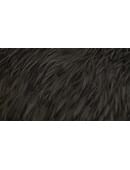 Collectors Edition Magic download (video)