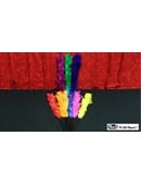 Color Changing Feather - Large Trick