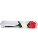 Color Changing Rose Trick