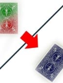 Color Vision Card Trick